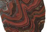 Free-Standing Polished Tiger Iron Stromatolite - Ga #222940-5